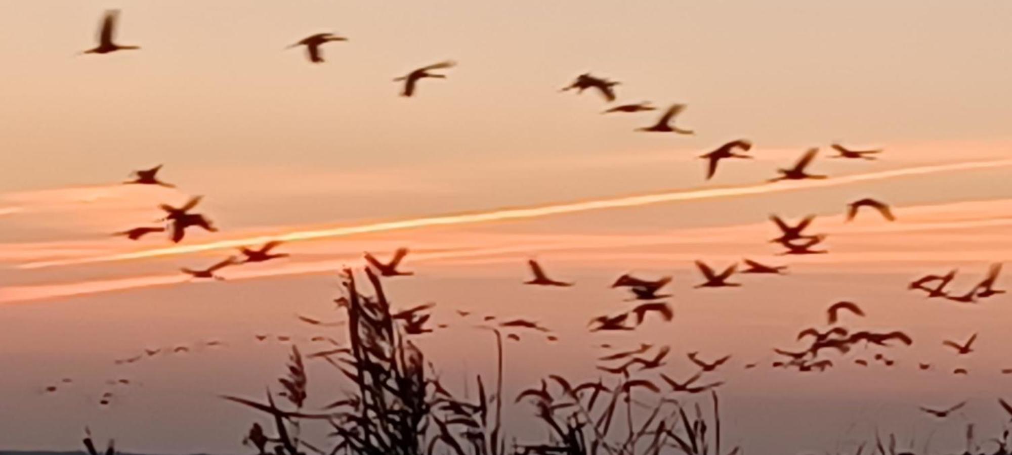 Fewo Seeadler - Heuser Prerow Buitenkant foto