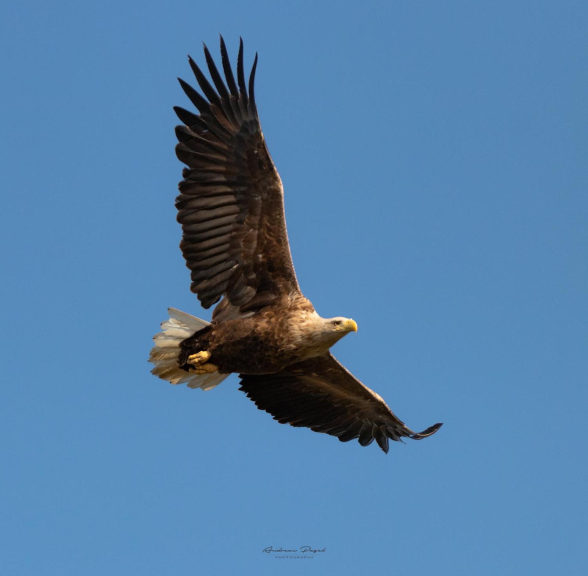 Fewo Seeadler - Heuser Prerow Buitenkant foto